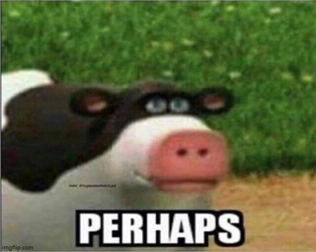 Perhaps Cow | image tagged in perhaps cow | made w/ Imgflip meme maker