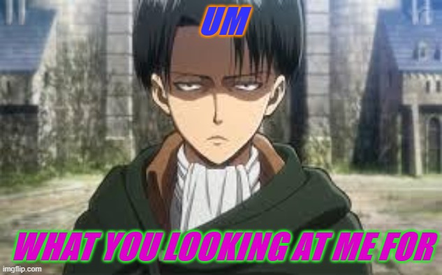 Random Levi Ackerman Meme | UM; WHAT YOU LOOKING AT ME FOR | image tagged in levi ackerman,attack on titan,aot,ackerman | made w/ Imgflip meme maker