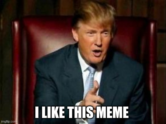 Donald Trump | I LIKE THIS MEME | image tagged in donald trump | made w/ Imgflip meme maker