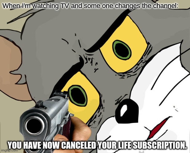 When I'm watching TV and some one changes the channel:; YOU HAVE NOW CANCELED YOUR LIFE SUBSCRIPTION. | image tagged in tv | made w/ Imgflip meme maker