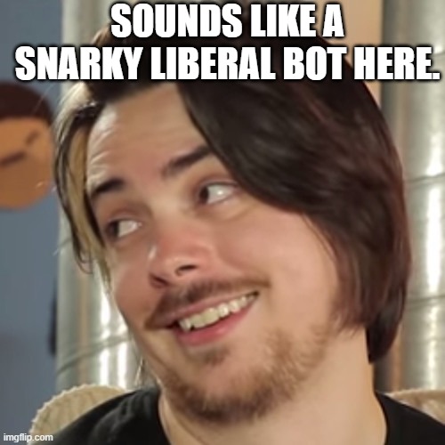 That sounds like your problem | SOUNDS LIKE A SNARKY LIBERAL BOT HERE. | image tagged in that sounds like your problem | made w/ Imgflip meme maker
