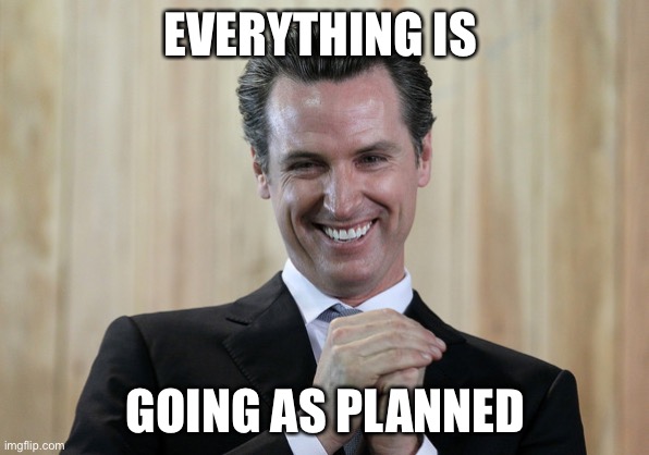 Scheming Gavin Newsom  | EVERYTHING IS GOING AS PLANNED | image tagged in scheming gavin newsom | made w/ Imgflip meme maker