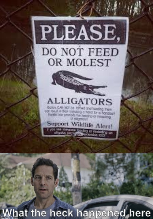 Is that how crocodiles are made | image tagged in antman what the heck happened here | made w/ Imgflip meme maker