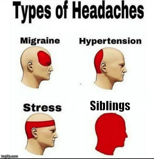 Types of Headaches meme | Siblings | image tagged in types of headaches meme | made w/ Imgflip meme maker