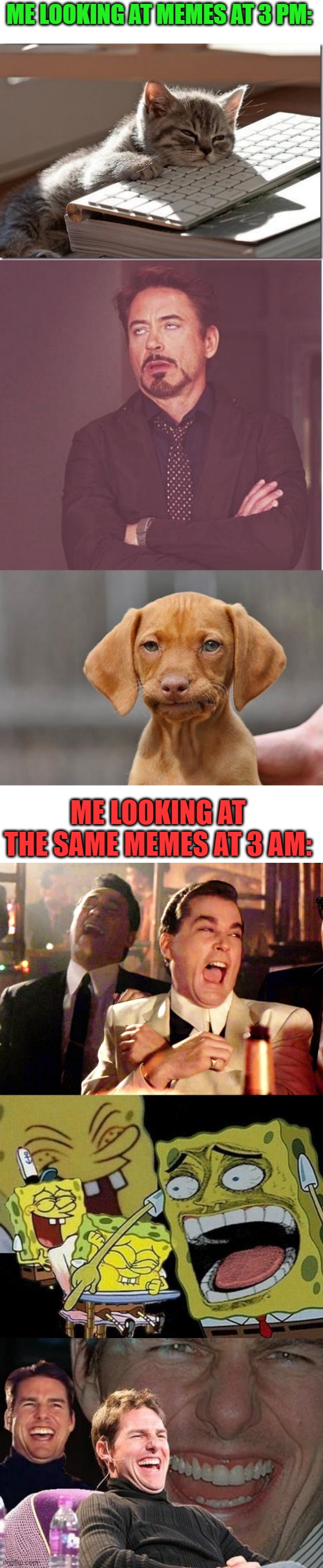 Memes in a nutshell | ME LOOKING AT MEMES AT 3 PM:; ME LOOKING AT THE SAME MEMES AT 3 AM: | image tagged in bored keyboard cat,memes,face you make robert downey jr,dissapointed puppy,tom cruise laugh,funny | made w/ Imgflip meme maker