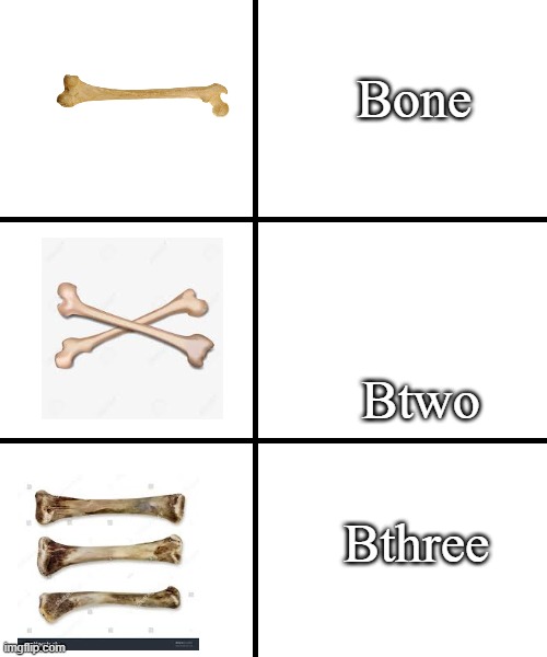 Blank template | Bone; Btwo; Bthree | image tagged in blank template | made w/ Imgflip meme maker