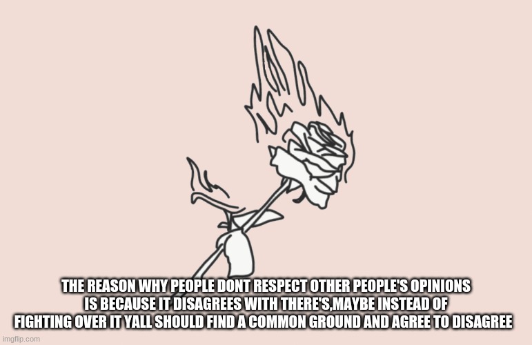 burning rose | THE REASON WHY PEOPLE DONT RESPECT OTHER PEOPLE'S OPINIONS IS BECAUSE IT DISAGREES WITH THERE'S,MAYBE INSTEAD OF FIGHTING OVER IT YALL SHOULD FIND A COMMON GROUND AND AGREE TO DISAGREE | image tagged in burning rose | made w/ Imgflip meme maker