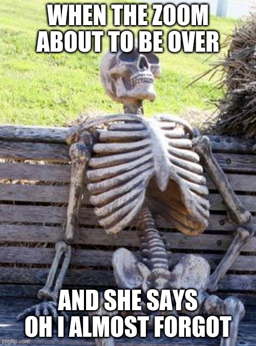 Y'all guys go ahead and follow I will be posting 3 times a day, dm for more info :) | WHEN THE ZOOM ABOUT TO BE OVER; AND SHE SAYS OH I ALMOST FORGOT | image tagged in memes,waiting skeleton | made w/ Imgflip meme maker
