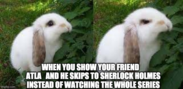 How dare him | WHEN YOU SHOW YOUR FRIEND     ATLA   AND HE SKIPS TO SHERLOCK HOLMES INSTEAD OF WATCHING THE WHOLE SERIES | image tagged in cute angry rabbit | made w/ Imgflip meme maker