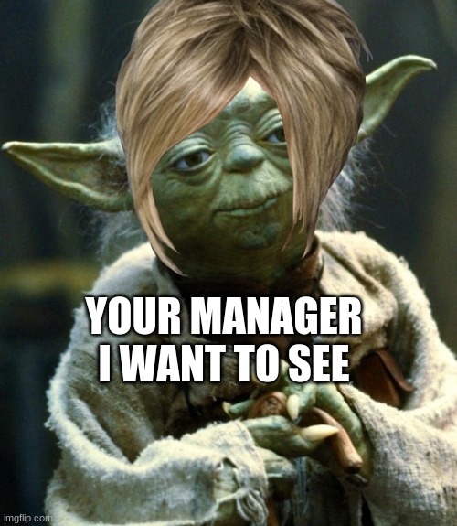 Karen Yoda | YOUR MANAGER I WANT TO SEE | image tagged in karen,star wars yoda | made w/ Imgflip meme maker