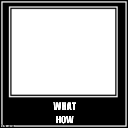 WHAT HOW | WHAT HOW | image tagged in what how | made w/ Imgflip meme maker