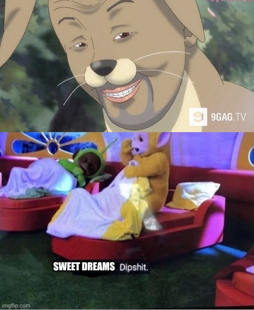 SWEET DREAMS | image tagged in what the | made w/ Imgflip meme maker