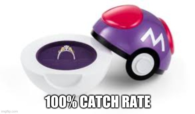 wow |  100% CATCH RATE | image tagged in masterball,funny,clickbait | made w/ Imgflip meme maker