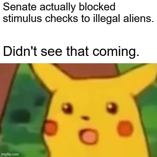 There's some hope after all. | Senate actually blocked stimulus checks to illegal aliens. Didn't see that coming. | image tagged in memes,surprised pikachu | made w/ Imgflip meme maker