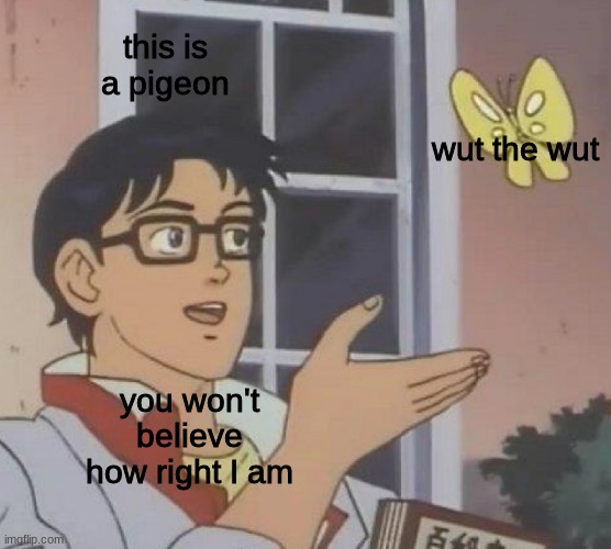this is a pigeon | this is a pigeon; wut the wut; you won't believe how right I am | image tagged in memes,is this a pigeon | made w/ Imgflip meme maker