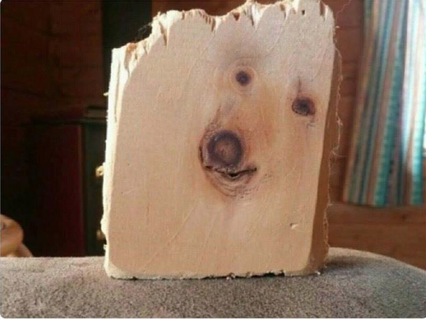 Bark up the wrong tree Blank Meme Template