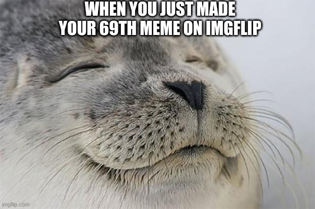 nice | WHEN YOU JUST MADE YOUR 69TH MEME ON IMGFLIP | image tagged in memes,satisfied seal | made w/ Imgflip meme maker