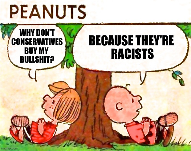 Peanuts Charlie Brown Peppermint Patty | WHY DON’T CONSERVATIVES BUY MY 
BULLSHIT? BECAUSE THEY’RE
 RACISTS | image tagged in peanuts charlie brown peppermint patty | made w/ Imgflip meme maker
