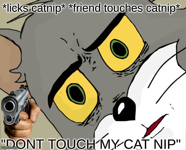 Unsettled Tom Meme | *licks catnip* *friend touches catnip*; "DONT TOUCH MY CAT NIP" | image tagged in memes,unsettled tom | made w/ Imgflip meme maker