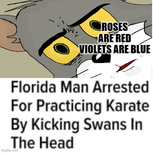 Ok what now? | ROSES ARE RED VIOLETS ARE BLUE | image tagged in florida man,meanwhile in florida | made w/ Imgflip meme maker