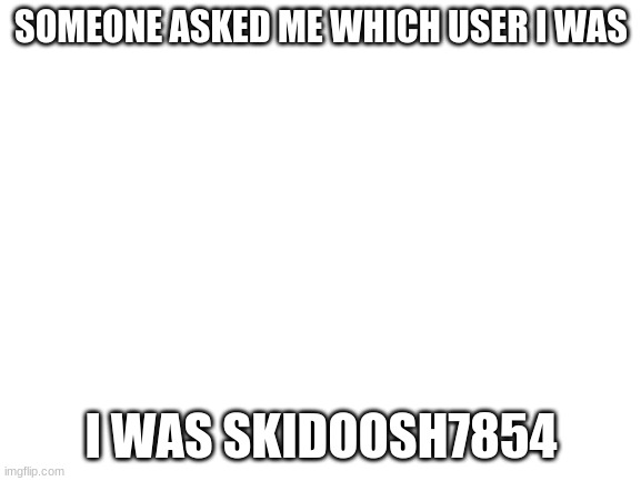 Blank White Template | SOMEONE ASKED ME WHICH USER I WAS; I WAS SKIDOOSH7854 | image tagged in blank white template | made w/ Imgflip meme maker