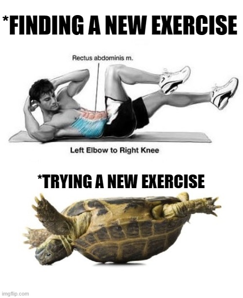 Turtle turtle | *FINDING A NEW EXERCISE; *TRYING A NEW EXERCISE | image tagged in exercise,turtle,abs | made w/ Imgflip meme maker