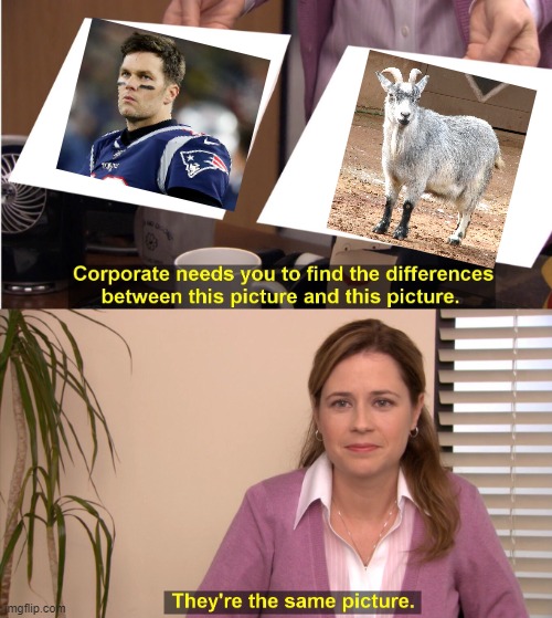 GOAT | image tagged in memes,they're the same picture | made w/ Imgflip meme maker