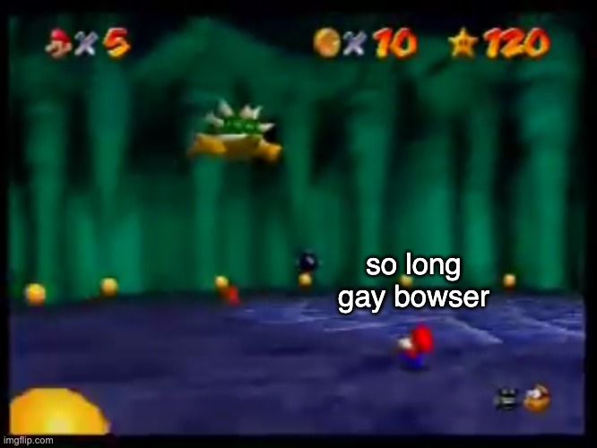 So long Gay Bowser | so long gay bowser | image tagged in so long gay bowser | made w/ Imgflip meme maker