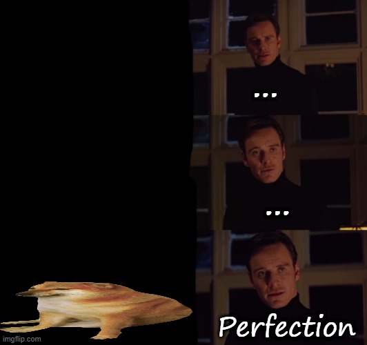 Perfect | ... ... Perfection | image tagged in thanos perfectly balanced as all things should be | made w/ Imgflip meme maker