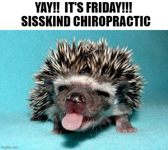 Yay!! It's Friday!!! | YAY!!  IT'S FRIDAY!!!   SISSKIND CHIROPRACTIC | image tagged in yay it's friday | made w/ Imgflip meme maker