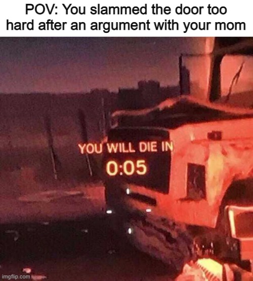 You will die in 0:05 | POV: You slammed the door too hard after an argument with your mom | image tagged in you will die in 0 05,pov,memes,funny,mom,parents | made w/ Imgflip meme maker