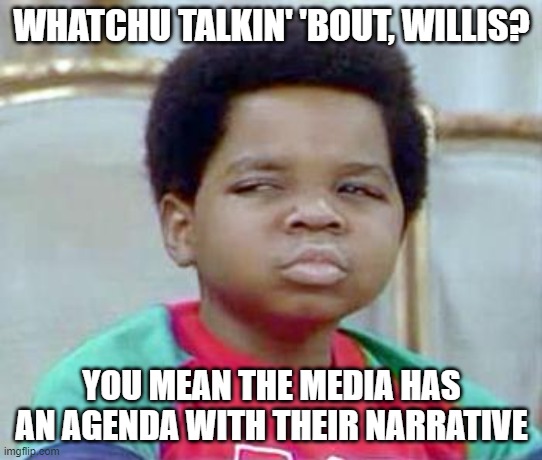 Whatchu Talkin' Bout, Willis? | WHATCHU TALKIN' 'BOUT, WILLIS? YOU MEAN THE MEDIA HAS AN AGENDA WITH THEIR NARRATIVE | image tagged in whatchu talkin' bout willis | made w/ Imgflip meme maker
