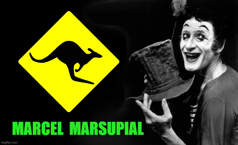 Marcel Marsupial | MARCEL  MARSUPIAL | image tagged in the wizard of oz | made w/ Imgflip meme maker