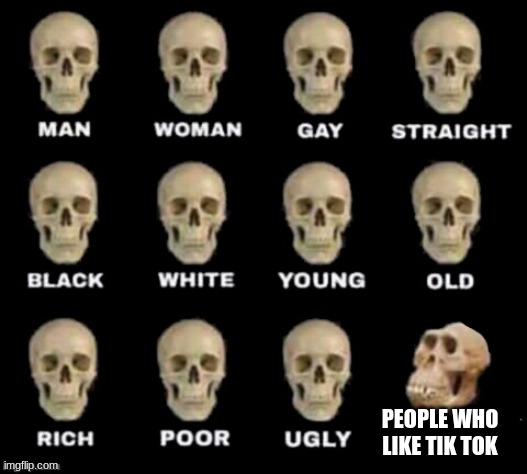 idiot skull | PEOPLE WHO LIKE TIK TOK | image tagged in idiot skull | made w/ Imgflip meme maker