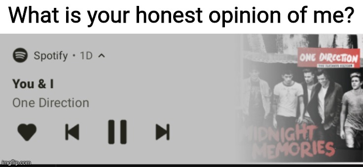 You and IIIIII we can make it till the enddddd | What is your honest opinion of me? | image tagged in you and i | made w/ Imgflip meme maker