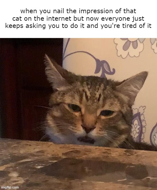 Mau is tired of doing impressions | when you nail the impression of that cat on the internet but now everyone just keeps asking you to do it and you're tired of it | image tagged in smudge the cat,sigh,unimpressed | made w/ Imgflip meme maker