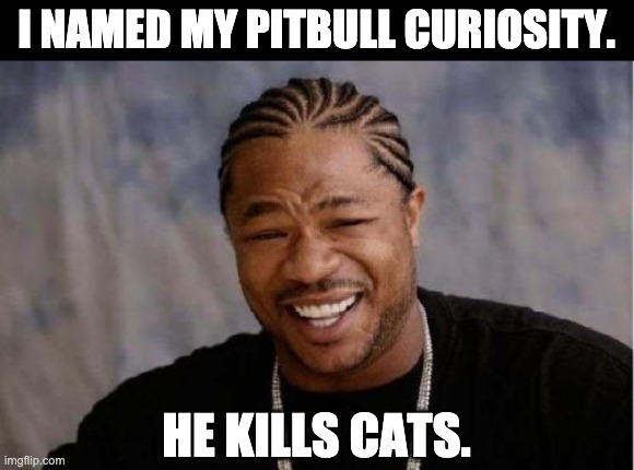 Curiosity | I NAMED MY PITBULL CURIOSITY. HE KILLS CATS. | image tagged in memes,yo dawg heard you | made w/ Imgflip meme maker