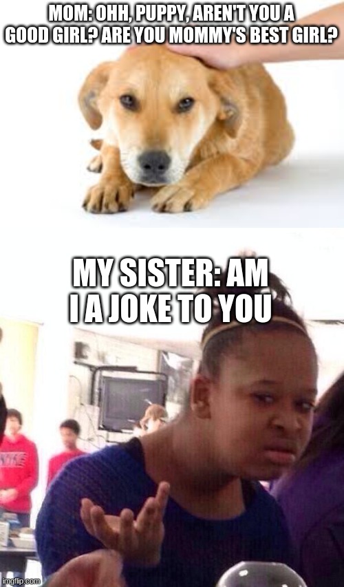 does anyone think this way too lol | MOM: OHH, PUPPY, AREN'T YOU A GOOD GIRL? ARE YOU MOMMY'S BEST GIRL? MY SISTER: AM I A JOKE TO YOU | image tagged in petting dog,memes,black girl wat | made w/ Imgflip meme maker