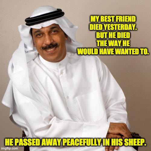 Died Peacefully | MY BEST FRIEND DIED YESTERDAY. BUT HE DIED THE WAY HE WOULD HAVE WANTED TO. HE PASSED AWAY PEACEFULLY IN HIS SHEEP. | image tagged in arab | made w/ Imgflip meme maker