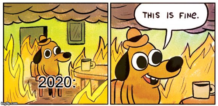 This Is Fine Meme | 2020: | image tagged in memes,this is fine | made w/ Imgflip meme maker