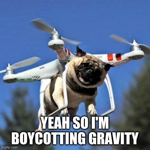 Flying Pug | YEAH SO I'M BOYCOTTING GRAVITY | image tagged in flying pug | made w/ Imgflip meme maker
