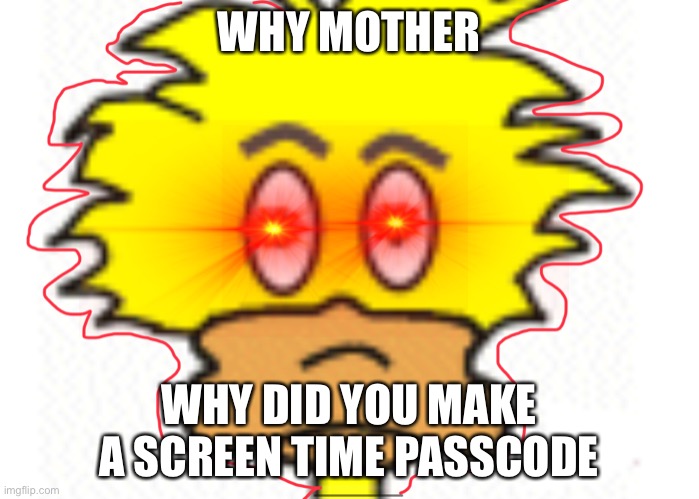 Duck | WHY MOTHER; WHY DID YOU MAKE A SCREEN TIME PASSCODE | image tagged in duck | made w/ Imgflip meme maker
