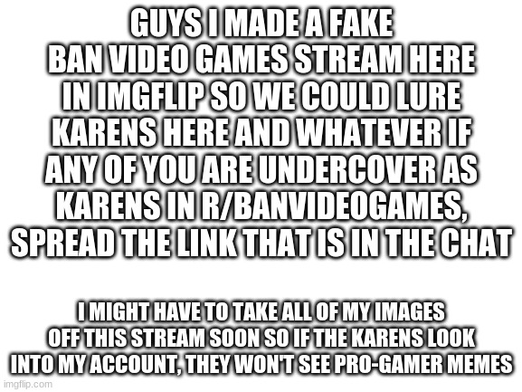 join me my bruddas | GUYS I MADE A FAKE BAN VIDEO GAMES STREAM HERE IN IMGFLIP SO WE COULD LURE KARENS HERE AND WHATEVER IF ANY OF YOU ARE UNDERCOVER AS KARENS IN R/BANVIDEOGAMES, SPREAD THE LINK THAT IS IN THE CHAT; I MIGHT HAVE TO TAKE ALL OF MY IMAGES OFF THIS STREAM SOON SO IF THE KARENS LOOK INTO MY ACCOUNT, THEY WON'T SEE PRO-GAMER MEMES | image tagged in blank white template | made w/ Imgflip meme maker