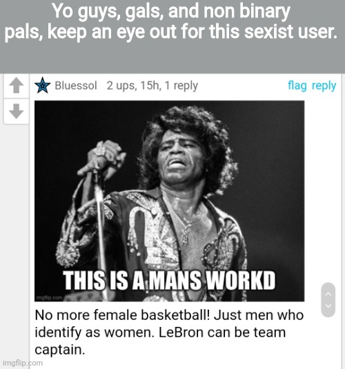 Sexist user warning! | Yo guys, gals, and non binary pals, keep an eye out for this sexist user. | made w/ Imgflip meme maker