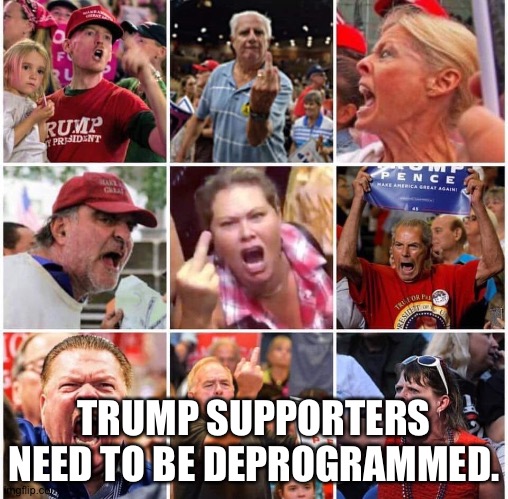 Yes they do. | TRUMP SUPPORTERS NEED TO BE DEPROGRAMMED. | image tagged in triggered trump supporters | made w/ Imgflip meme maker