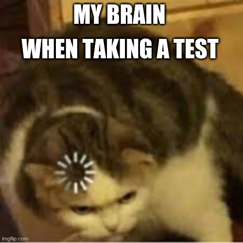 I hate it when this happens | WHEN TAKING A TEST; MY BRAIN | image tagged in loading cat,test | made w/ Imgflip meme maker