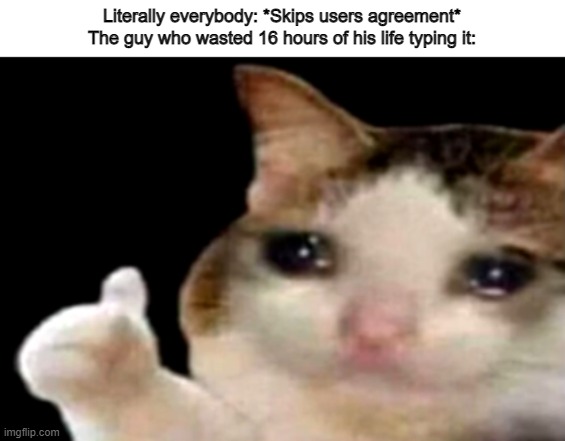 F | Literally everybody: *Skips users agreement*

The guy who wasted 16 hours of his life typing it: | image tagged in sad cat thumbs up | made w/ Imgflip meme maker