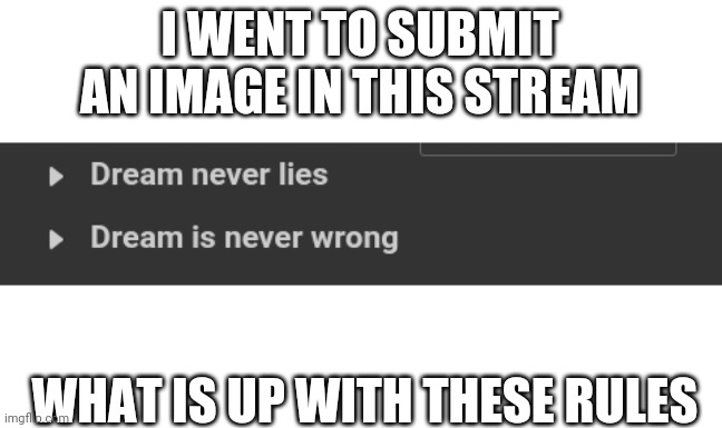 Not saying that I disagree with these rules, just more of why are they there | I WENT TO SUBMIT AN IMAGE IN THIS STREAM; WHAT IS UP WITH THESE RULES | image tagged in dream never lies,dream is never wrong | made w/ Imgflip meme maker