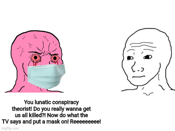 Pro-masker should really look in the mirror |  You lunatic conspiracy theorist! Do you really wanna get us all killed?! Now do what the TV says and put a mask on! Reeeeeeeee! | image tagged in masks,hysteria,brainwashing | made w/ Imgflip meme maker