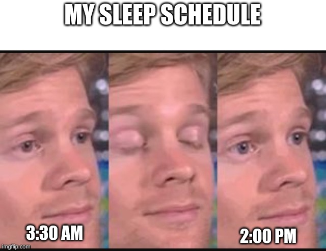 Blinking guy | MY SLEEP SCHEDULE; 3:30 AM; 2:00 PM | image tagged in blinking guy,sleep | made w/ Imgflip meme maker